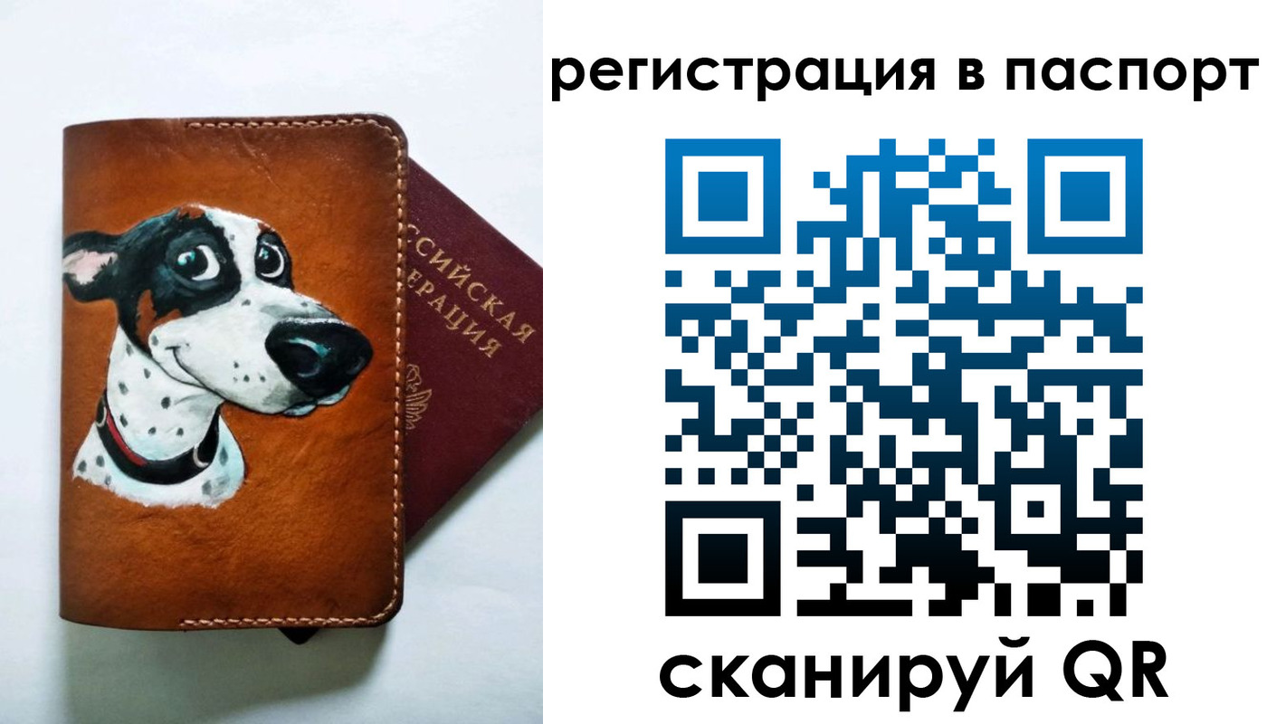 прописка штамп в Камчатском крае